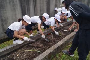 学習会