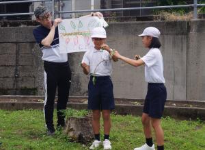 学習会