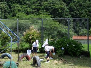 6月19日：身の回りにいるだけだった虫たちが、昆虫教室での学習を通して少し特別な存在になっています。
