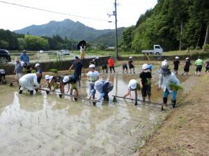 田植え