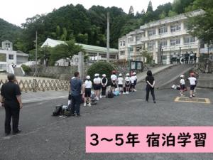 宿泊