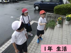 生活