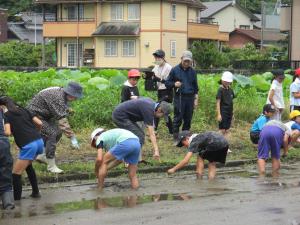 田植え