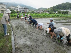 田植え2