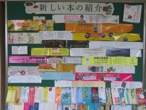 新書