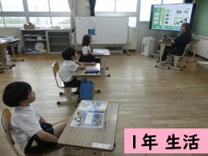 生活