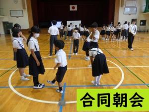 合同朝会
