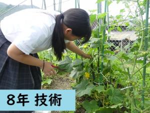 技術