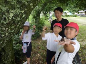 7月6日：卵から育てたカブトムシが孵化しました。今年は、自然に帰してあげました。最初は怖がっていた一年生も手で持って、木に放してあげました。