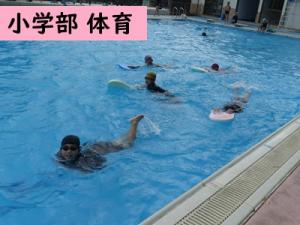 体育