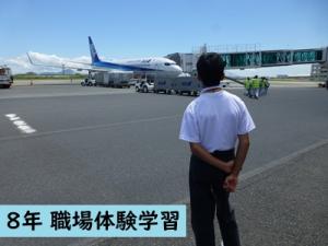 職場体験