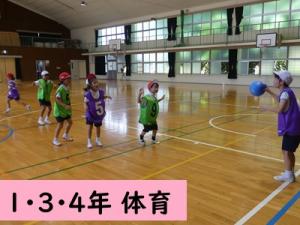 体育