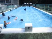 水泳