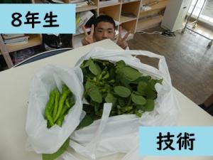 技術