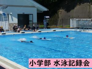 水泳記録会