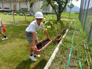 人権の花プランター移動