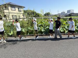 盆踊り