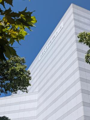 ホール
