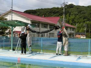 18