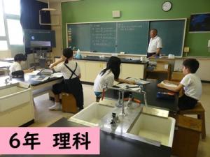 理科