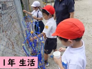 生活