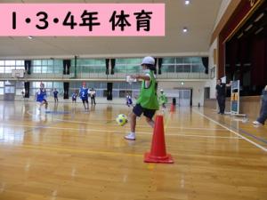 体育