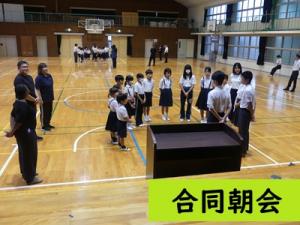 合同朝会