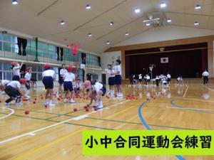 運動会練習