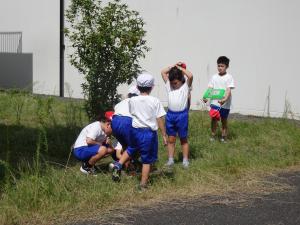 虫取り１
