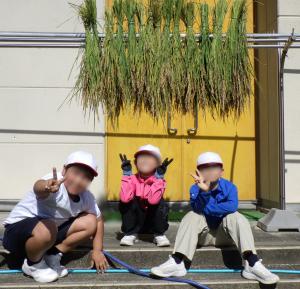 9月25日：昨日、うさまる米の稲刈りをしました。稲を植えた当初は、育ちが思わしくなく心配しましたが、無事に収穫できてよかったです。