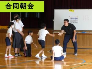 合同朝会
