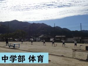 体育