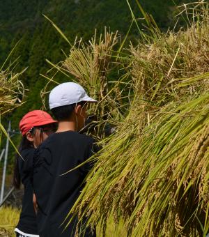 学習会