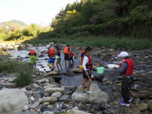 10月8日：水辺の教室を実施しました。錦清流小学校の5年生と協力しながら、水生生物を採取したり、観察したりしました。自然の中で夢中になって学習していました。