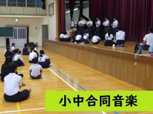 音楽