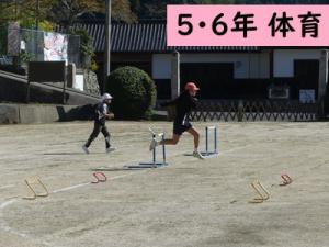体育
