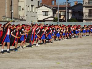 運動会練習のようす３３