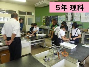 理科
