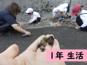 生活
