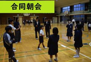 合同朝会