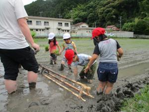 田植え