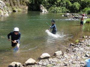 川遊びをする児童の様子