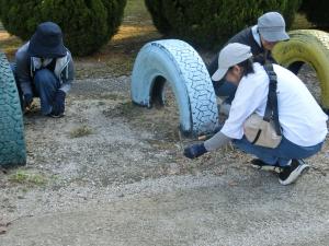 ＰＴＡ奉仕作業の写真3
