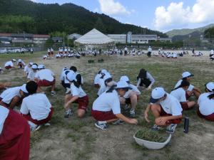 親子奉仕作業2