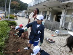 芋掘りの様子２