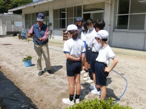 サツマイモの苗植えの説明