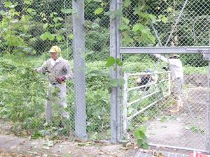 川土手の草刈り