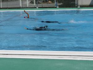 水泳の様子2