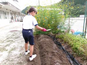 肥料をまく様子