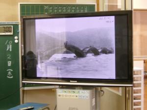 大雨の時のようす